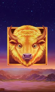 Buffalo's Sun